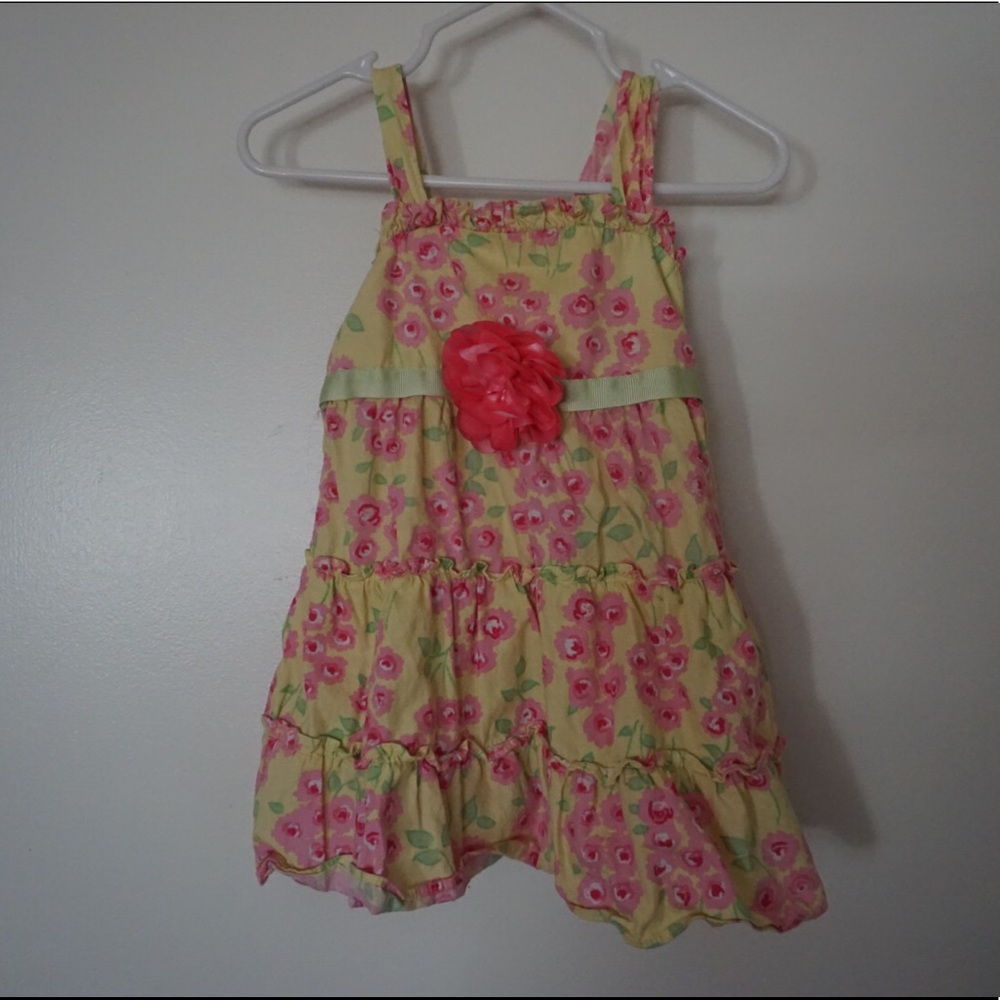 Young land baby Dress (24 mos)